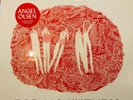 Angel Olsen ‎– Burn Your Fire For No Witness : Jagjaguwar ‎SEALED VINYL LP