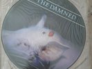 The Damned - Strawberries vinyl UK 1986 DOJO Picture Disc LP Rare Edition
