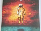 BRAND NEW Deja Entendu 180 GRAM VINYL 2LP (SEALED) saves the day.new found glory