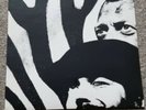 Vinyl Yello Zebra