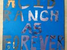ACID RANCH - As Forever LP 2005 Limited handmade cover EX/EX Robert Pollard GBV