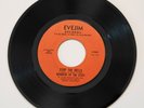 45 RPM FUNK/SOUL: Members Of The Staff - Stop The Bells - Evejim E-1944 - Mint