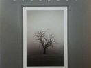 CLUBROOT - Clubroot I - 2 x LP - Grey Vinyl Album 150 - NEW Dubstep UK Record
