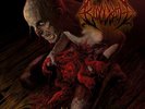 BLOODBATH - Nightmares Made Flesh LP BLUE VINYL LTD 200 death hypocrisy entombed