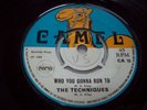 TECHNIQUES Who you gonna run to / Hi there CAMEL SKINHEAD ROCKSTEADY