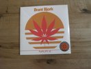 BRANT BJORK Europe '16 rar Stictly Limited Mailorder LP orange Vinyl 200 copies