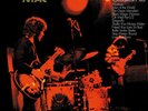 Fleetwood Mac Greatest Hits Vinyl / 12
