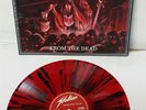 Stallion From The Dead Red Black Splatter Vinyl LP Record new