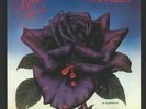 THIN LIZZY - Black Rose (reissue) - Vinyl (heavyweight vinyl LP)