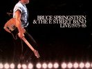 BRUCE SPRINGSTEEN /E STREET BAND -Live/1975-1985 5 VINYL LP Box Set w/ book VG++