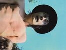 Fleetwood Mac - Mr. Wonderful