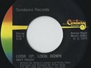Rare Sweet Soul/Funk 45 - Soft Touch Look Up Look Down / Plenty Action VG++ mp3