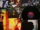 Paul Weller - Wild Wood - Vinyl Rare Original First Pressing LP + Poster A1 + B1