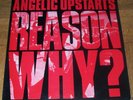 Angelic Upstarts-