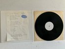 F-WORD Like It Or Not POSH BOY Hand Made 1st ED LP 1978 LA CA KBD Punk FLIPPER