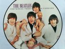 Beatles Butcher Cover Picture Record