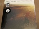 Saves the Day - Stay What You Are 20th Anniversary 180G LP Sealed New RARE /900