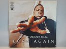 Notorious B.I.G. - Born Again 2 x 12