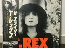 T REX / SLIDER JAPAN ISSUE LP W/OBI, POSTER, BOOKLET, PIN-UP
