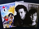 MFSL 2 LP SET   TEARS FOR FEARS  ** NEW PROMO **   THE BIG CHAIR + SEEDS OF LOVE