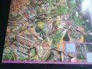 Stone Roses so young/tell me Rare 12 inch vinyl good condition with rare fanzine