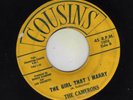 Doo Wop 45 THE CAMERONS 