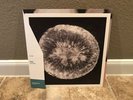 Feist   Let It Die Ltd Ed Sea Foam Green Vinyl LP Vinyl Me Please Like New