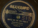 Bluebird 6867 Dixon Brothers OLD TRUE LOVE 78rpm Country 1937 E+