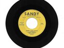 RARE SANDY 45 RPM RECORD #1016 DARRYL VINCENT MERCY ME DADDY'S GOING BATTY