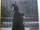 Neil Young - After the Gold Rush Vinyl Vg+