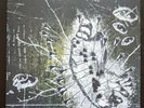 Destroyer Destroyer 'Littered With Arrows' Limited to 100. Wax Vessel Records