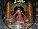 Savatage Hall Of The Mountain King LTD Pic LP Picture Disc Vinyl VMLP015 V. Rare