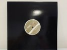 Björk ?– Pagan Poetry (Infusion Mix), White Label Vinyl 2002