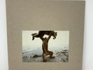 Shellac - Dude incredible lp vinyl + cd