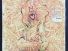 Acid Mothers Temple & The Melting Paraiso UFO - Benzaiten nmint 2 x LP