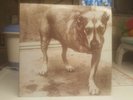 Alice In Chains 1995 S/T Tripod RARE Heaven Beside You Grind Again Layne Staley