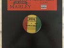 Damian Jr. Gong Marley - Wecome To Jamrock 2005 Mint Vinyl Single