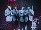THE BEATLES SHOUT LTD / 100 COPIES RED / GREEN  MARBLE VINYL LP  ALT SLEEVE