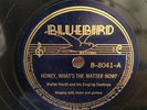 COUNTRY WALTER HURDT Singing Cowboys Bb 8041 Whats the Matter Now/Got theHabit E