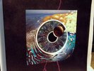 PINK FLOYD - PULSE  Box 4 LP + BOOK, 1st Press UK - 724383270019