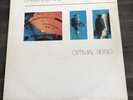 DARREN KEARNS OPTIMAL BEING LP'80 ELECTRONICA EXPERIMENTAL SYNTH AMBIENT NEW AGE