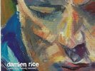 Damien Rice - Lonelily - UK  7