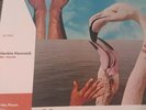 Herbie Hancock Mr. Hands VMP Vinyl Me Please Club 180g LP
