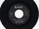 Lenoard Wayne/Hi Tones 45 That’s All I Want To Do ANDRE original DOO WOP EX  156