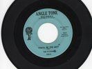 The Fi Tones 45 Youll Be The Last/Wake Up ANGLE TONE original DOO WOP VG+  175