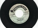 The Mellows 45 Moon Of Silver/You've Gone CANDLELIGHT original DOO WOP  265