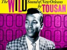 WILD SOUND OF NEW ORLEANS