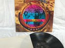 LP – BIRTH CONTROL / GOLD ROCK / NM