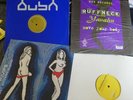 Vinyls 16 x 12