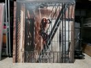 Sabrina Carpenter Singular Act II Vinyl Record USED